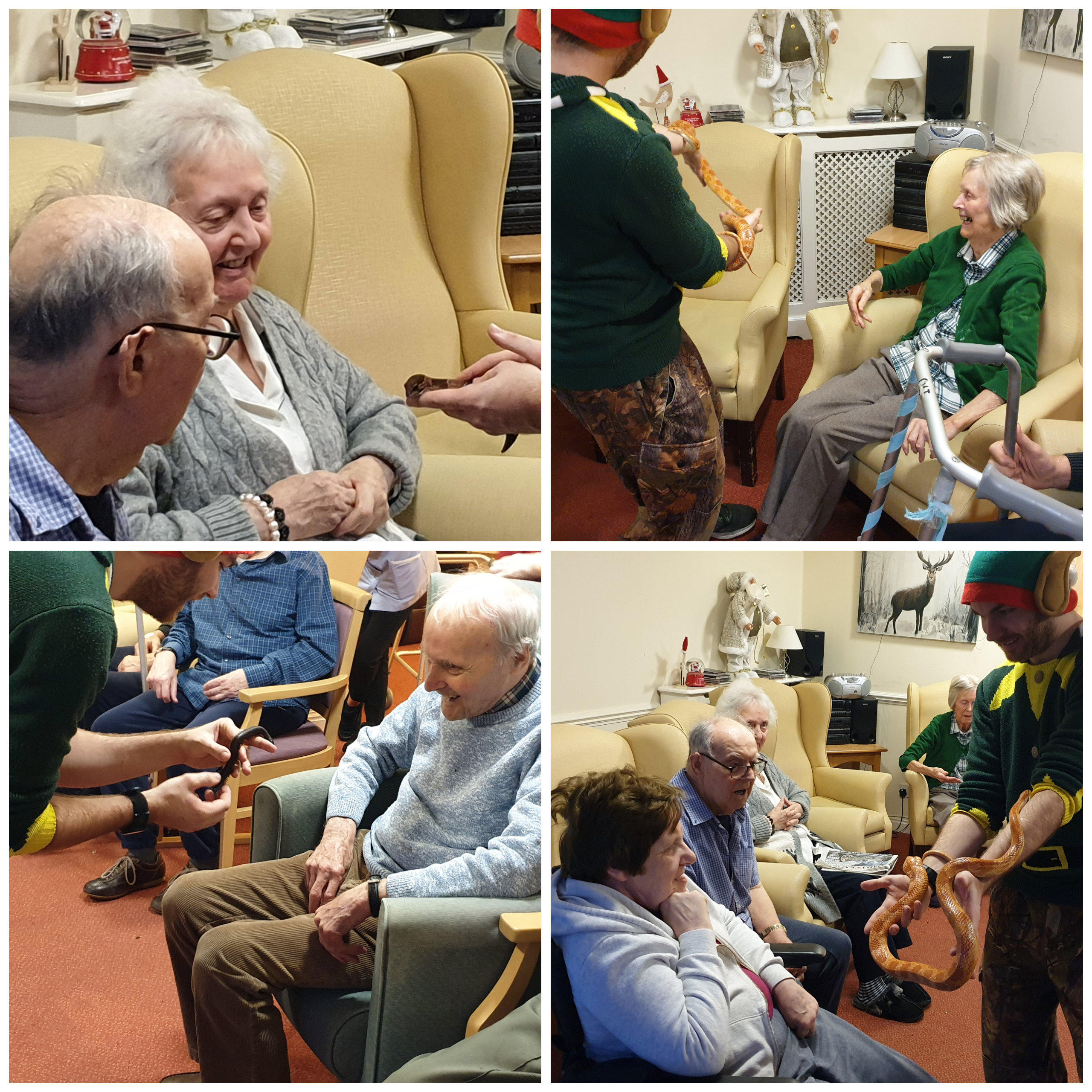 Wallside Grange Care Home residents meet some critters during a ZooLab animal therapy session.